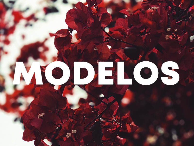 mi mejor imagen agencia de modelos